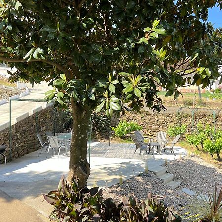 Villa Samaritana - Casa Da Vinha Vila Marim Luaran gambar