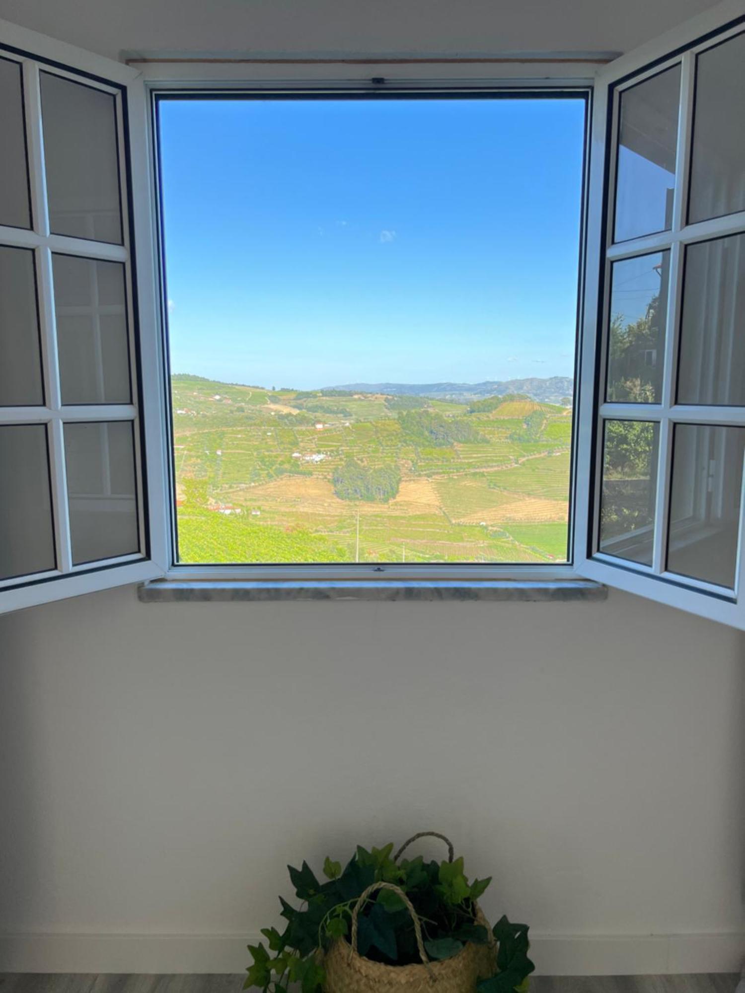 Villa Samaritana - Casa Da Vinha Vila Marim Luaran gambar